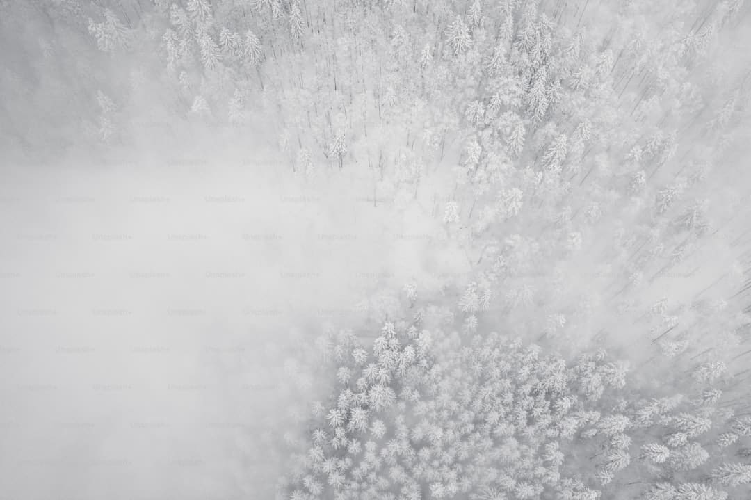 沪深京一切上市公司有一个一起的股东，你知道是谁吗